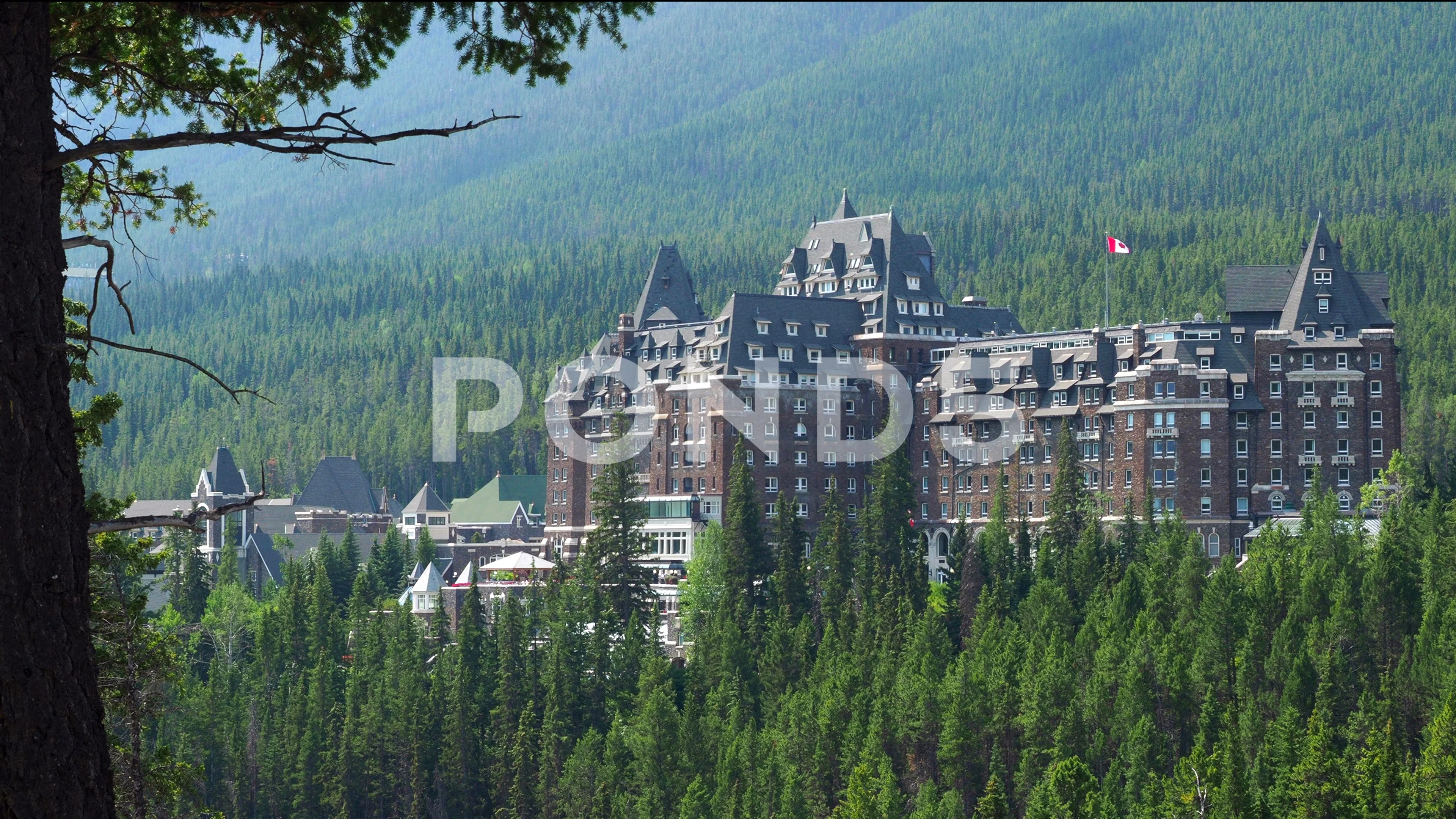 Banff Springs Hotel Stock Footage Royalty Free Stock Videos Pond5