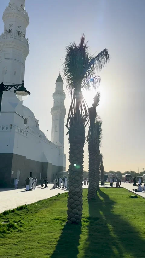 View of Historic Masjid Quba Behind Palm Trees Stock Footage 344062317