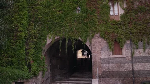 View of the historic Scalinata dei Borgia ivy-covered steps. Video stock 339274854