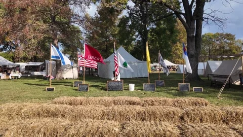 View of historical tents and flags at Fort Massac, United States. Vídeo Stock 335652307