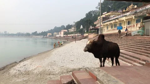 View of the Holy Ganges River from the holy city of Rishikesh Stock-Footage 120322591