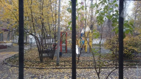 View from the home window with bars falling on the yellow leaves of autumn trees Video stock 118511350