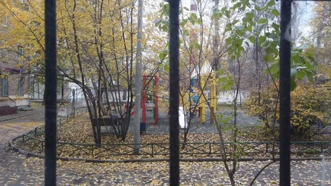 View from the home window with bars falling on the yellow leaves of autumn trees Stock Footage 118512645