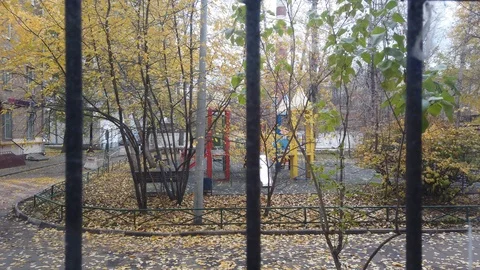View from the home window with bars falling on the yellow leaves of autumn trees Stock Footage 118513758