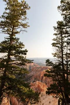 View of Hoodoos through Pine Trees at Bryce Canyon National Park Stock Photos
