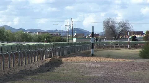 View Of Horses Coming Around A Corner In A Horse Race Video stock 19152422