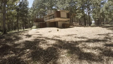 View of house in forest Video stock 94566278
