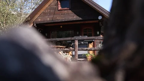 View of the house in the forest through the tree Stock Footage 289681501