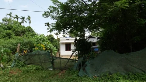 View of house surrounded by trees, Trees and bushes footage Vídeo Stock 156970751