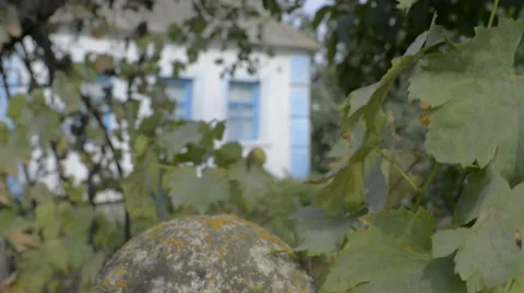 View of the house through the vineyard. Stock Footage 57309441