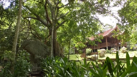 View of the house in the tropics Stock Footage 112352234