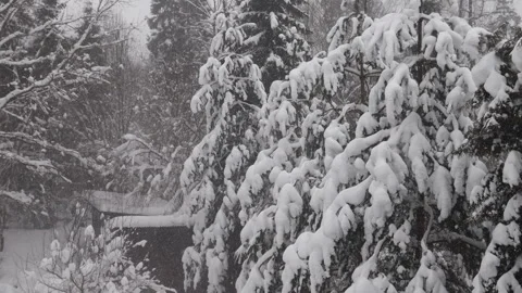 View from a house window overlooking a snow-covered countryside yard with trees. Stock Footage 326093293
