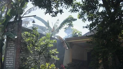 View of the house yard with planted trees 스톡 동영상 177144486