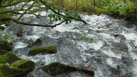 A View Of A Huge River Stream With Water Rushing Over Mossy Rocks Stock Footage 257552175