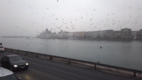 A view on the Hungarian Parliament Stock Footage 125028971