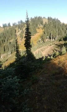 A view from Hurricane Ridge Stock Photos