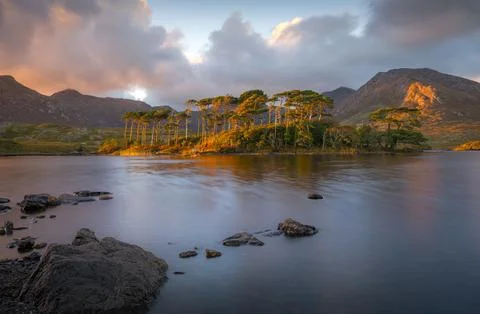 A view of the iconic Pine Island from the viewpoint in Ireland Stock Photos