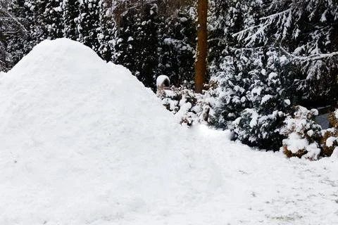 View of an igloo in a winter landscape Stock Photos