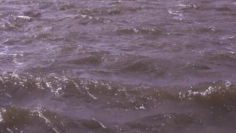 View on IJsselmeer waves Stock Footage 120626995