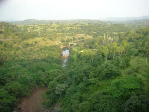 A view of the indian forest Photos