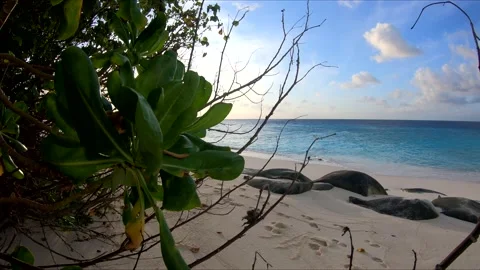 View of the Indian Ocean Stock Footage 155726970