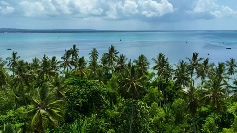 View of the Indian Ocean With Palm Trees, January 21, 2025, Tumbatu Island, 스톡 동영상 336872636