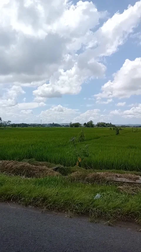 VIEW FROM INDONESIA Video stock 229617180