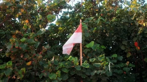 View of the Indonesian flag at Kuta Beach, Indonesia. Stock Footage 343685678
