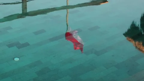 View of Indonesian flag reflected in a swimming pool, Indonesia. 스톡 동영상 343685454