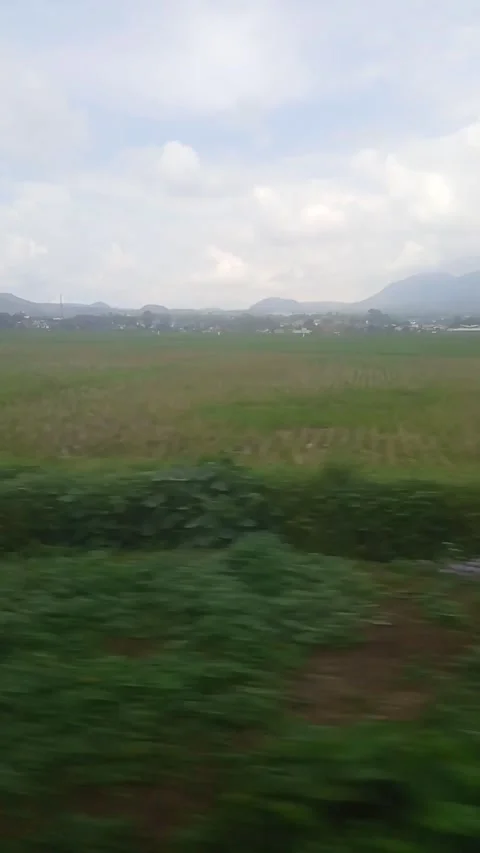 View in Indonesian train 動画素材 206089625