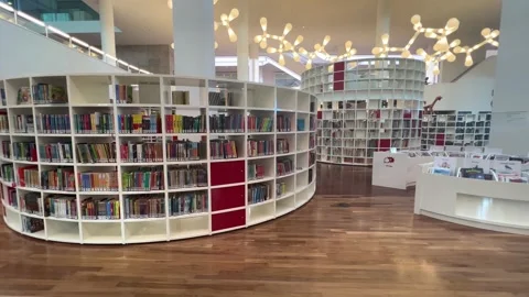 View Inside Bookshelf Amsterdam Library Stock Footage 201792192