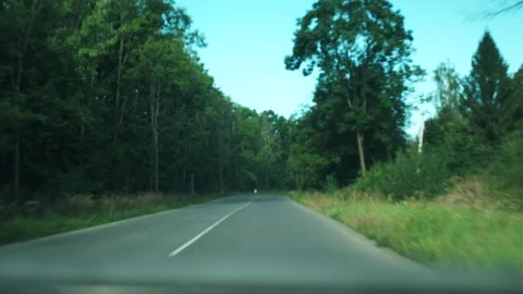 View from inside car driving country on road with white markings Stock Footage 284912307