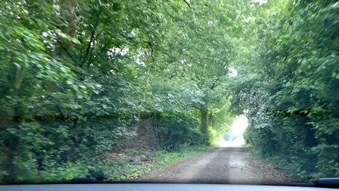 View from inside a car driving in a dirt road in the woods Stock Footage 140066871
