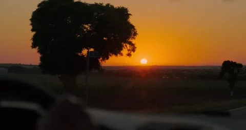 View from inside the car in motion on the road and sunset Stock Footage 226981285