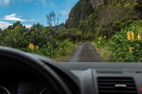 View from inside car windshield over road in island of Sao Miguel, Azores Stock Photos