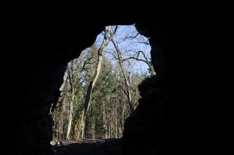 View from the inside of the cave into the forest Stock Photos