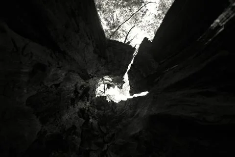 View from inside cave looking up through narrow opening at bright forest canopy Stock Photos