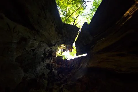View from inside cave looking up through narrow opening at bright forest canopy Stock Photos