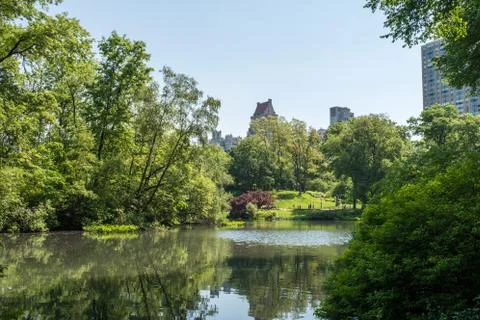 View from inside Central Park Foto stock