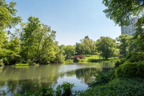 View from inside Central Park Stock Photos