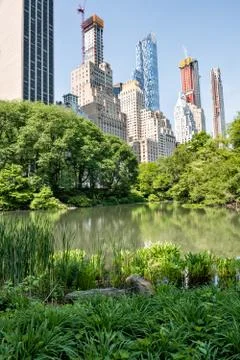 View from inside Central Park Stock Photos