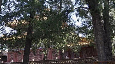 View inside chinese style park with chinese traditional building in backgro.. Vídeo Stock 336472411