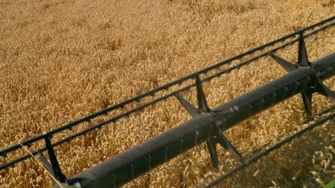 View from inside a combine harvester cab as another harvesting machine works Stock Footage 345522827