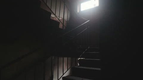 View from inside dark and ruined entrance stairs of residential building Stock Footage 227763820