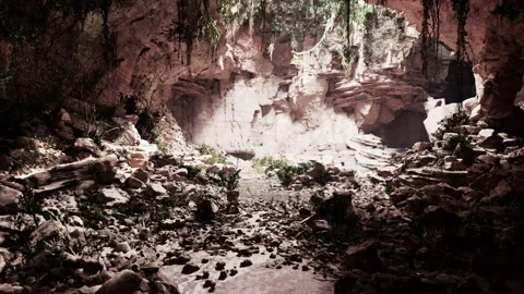 View from inside a dark cave Stock Footage 229833794