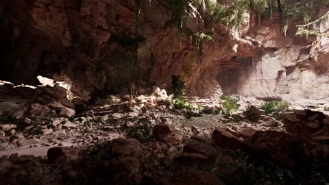View from inside a dark cave Stock Footage 236621698