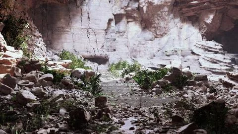 View from inside a dark cave Illustrazione stock