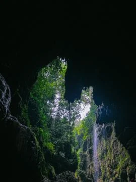 View from Inside Dark Cave Mouth Looking Out at Rainforest Trees and Waterfall Foto stock