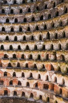 View inside of a Devocote o Palomar. Pidgeon house Stock Photos