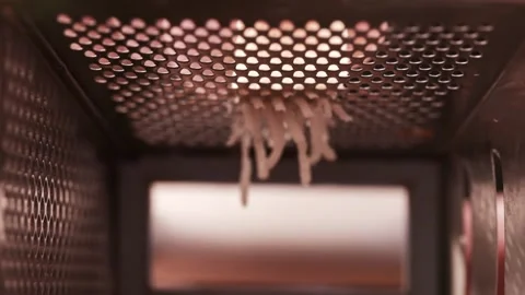 View inside the grater. Inside the kitchenware. Macro video of cheese on grater. Stock-Footage 151119869